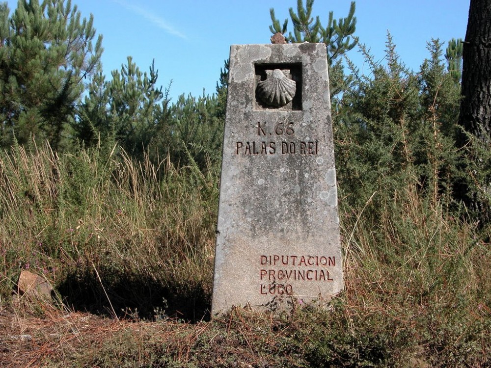 Frances Etapa 29 Portomarín Palas de Rei